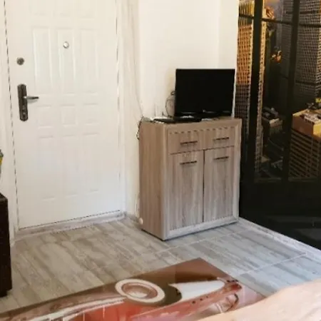 Apartment Drvenija *